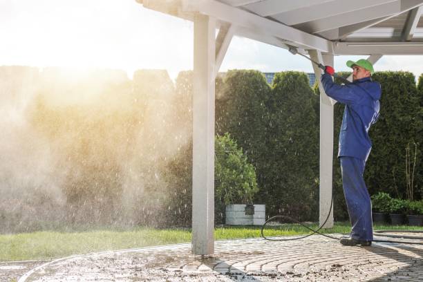 Best Driveway Pressure Washing  in Catawissa, PA